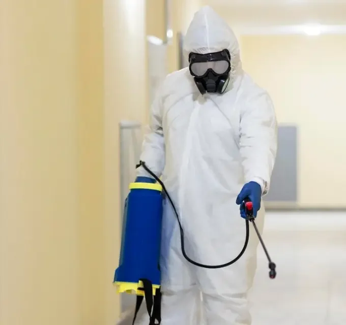 Pest control in Kuwait 3